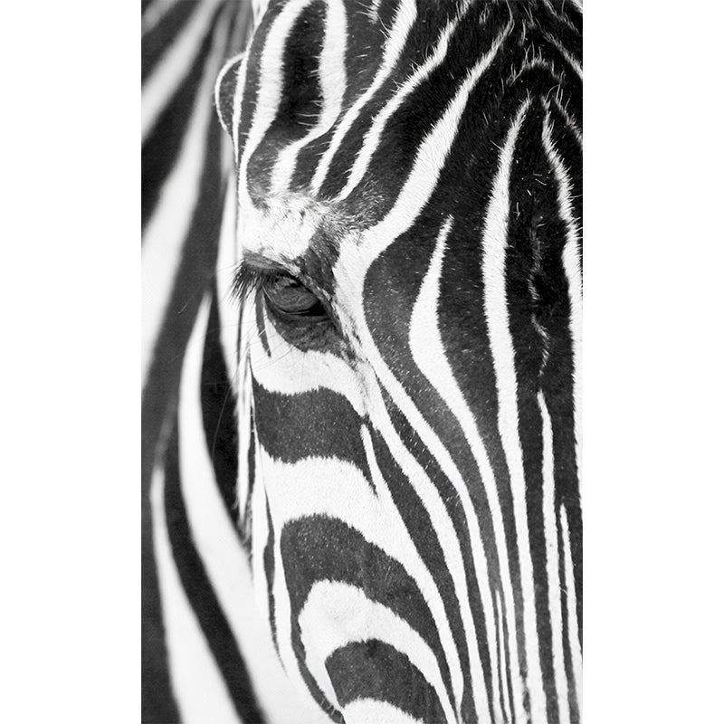 Photography Zebra Skin Wall Art Extra Large Wall Mural Decal for Accent Wall, Custom Size Available Clearhalo 'Wall Decor' 'Wall Mural' 1036079