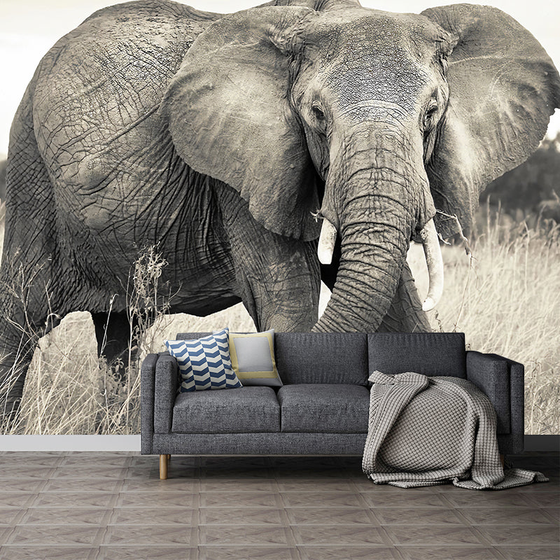 Whole Photo Style Minimalist Mural Wallpaper for Guest Room Decoration with Elephant Design in Grey Grey Clearhalo 'Wall Decor' 'Wall Mural' 1036097