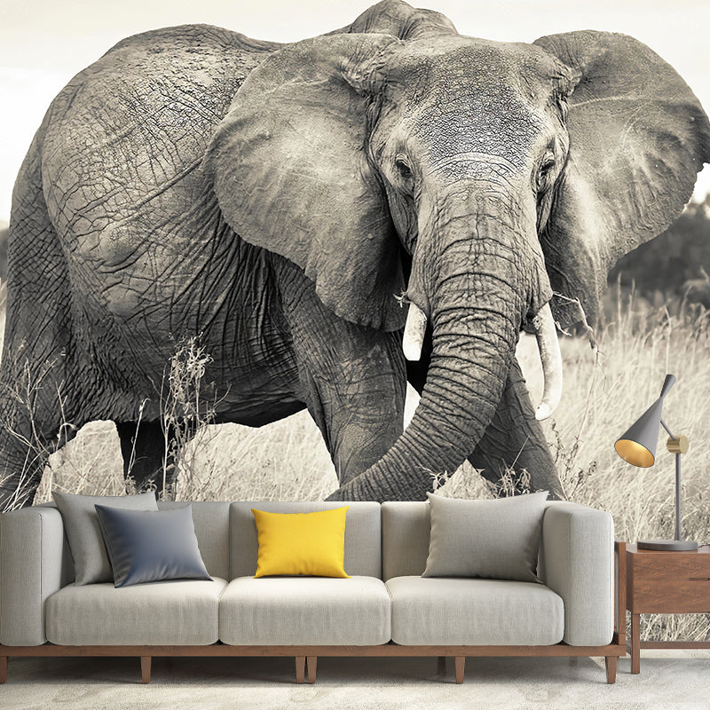 Whole Photo Style Minimalist Mural Wallpaper for Guest Room Decoration with Elephant Design in Grey Clearhalo 'Wall Decor' 'Wall Mural' 1036098