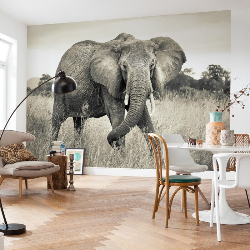 Whole Photo Style Minimalist Mural Wallpaper for Guest Room Decoration with Elephant Design in Grey Clearhalo 'Wall Decor' 'Wall Mural' 1036099