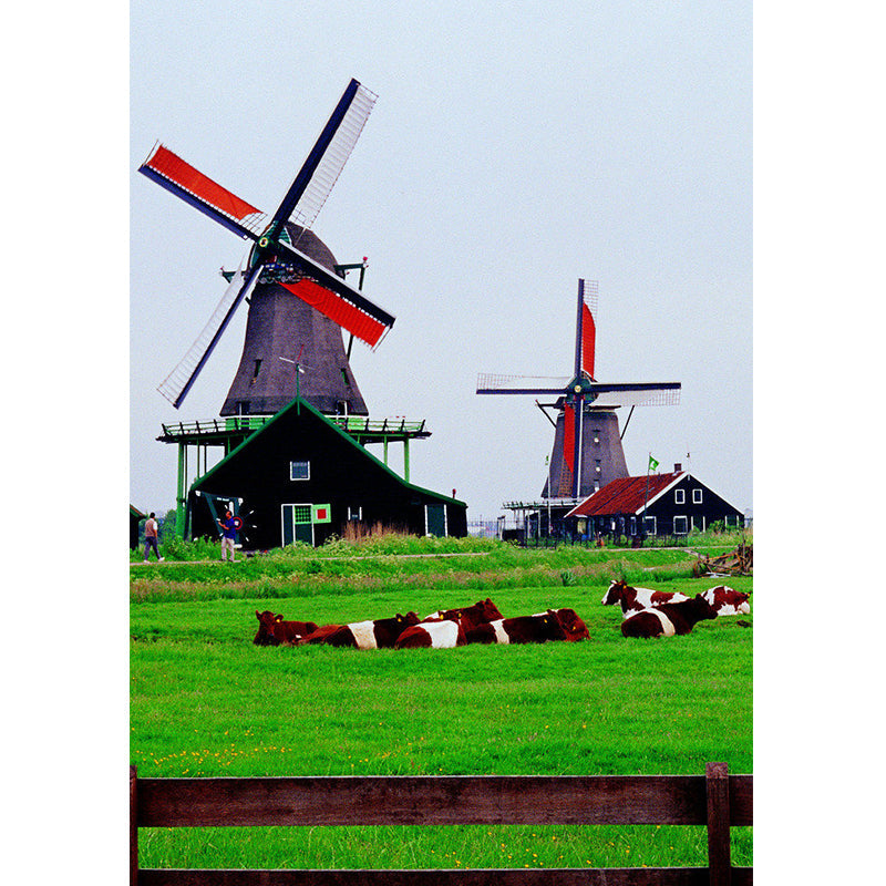 Fresh Grass and Windmill Mural Wallpaper for Bedroom Decor Natural Scenery Wall Art, Made to Measure Clearhalo 'Wall Decor' 'Wall Mural' 1061648