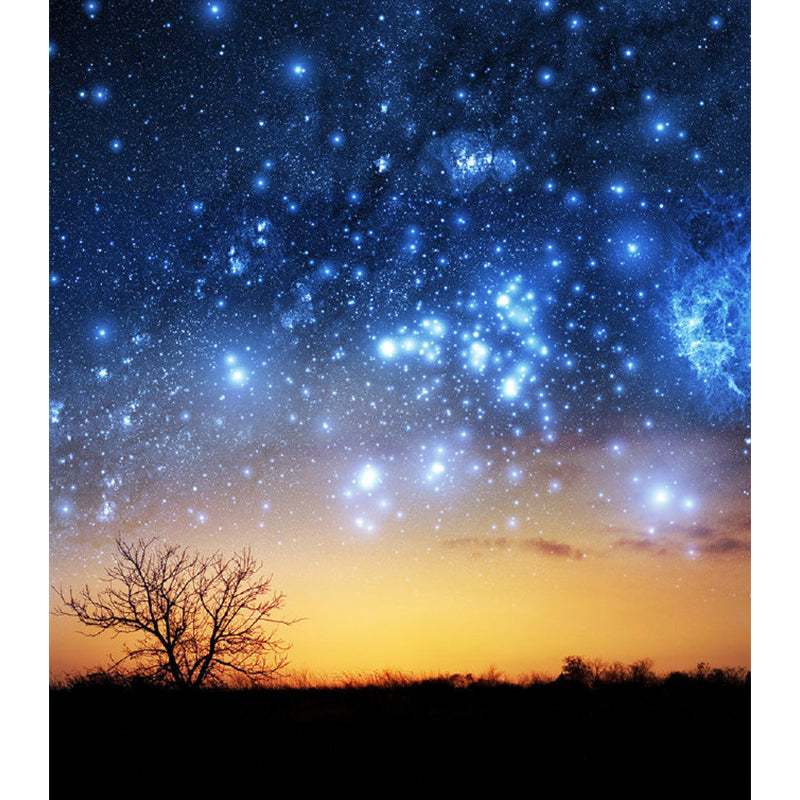 Orange and Blue Nordic Wall Covering Customized Size Starry Sky and Forest Wall Mural for Guest Room Clearhalo 'Wall Decor' 'Wall Mural' 1112827