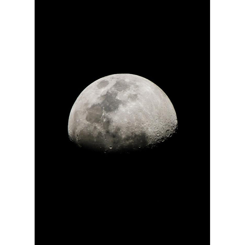 Extra Large Photography Wall Mural for Accent Wall with Moon Design in Black and Grey Clearhalo 'Wall Decor' 'Wall Mural' 1114102