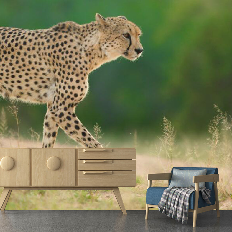 Big Photography Modern Wall Mural for Accent Wall with Leopard Design in Green and Yellow Clearhalo 'Wall Decor' 'Wall Mural' 1114205