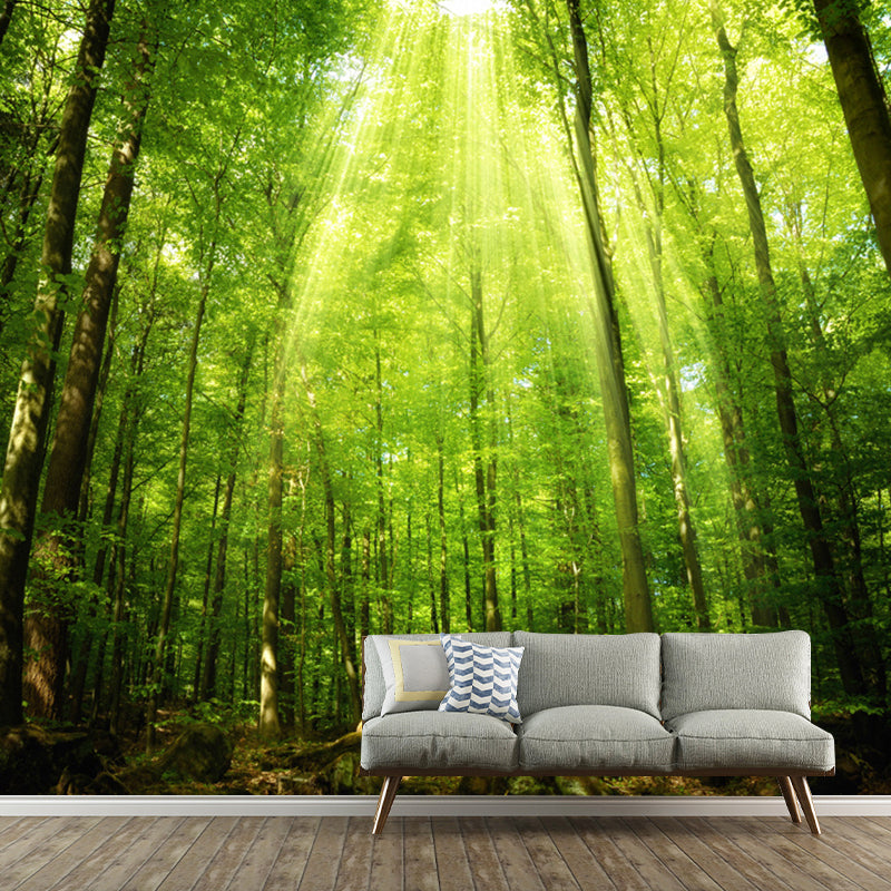 Waterproof Deep Jungle Mural Wallpaper Customized Size Modern Wall Covering for Home Decoration Green Clearhalo 'Wall Decor' 'Wall Mural' 1114314