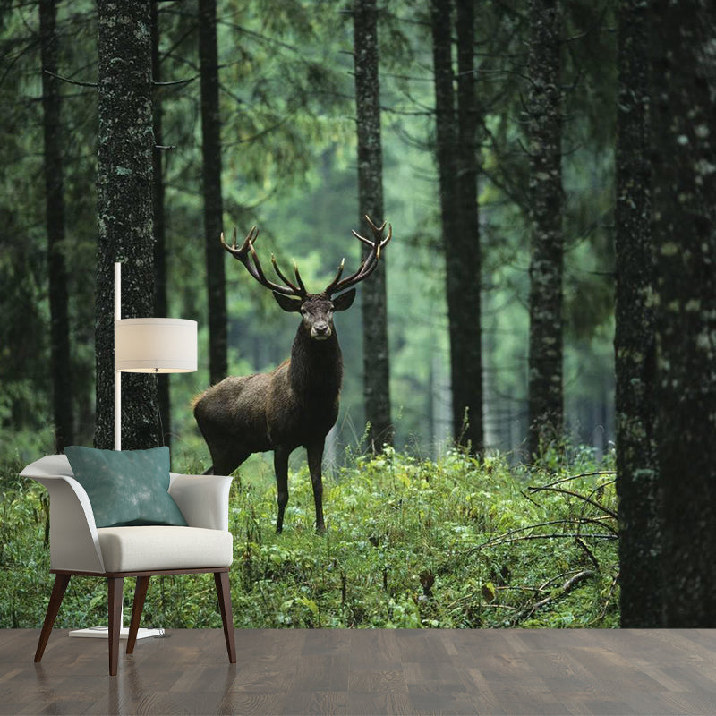 Large Size Contemporary Wall Murals Green Wild Deer in the Forest Patterned Wall Art Clearhalo 'Wall Decor' 'Wall Mural' 1154290