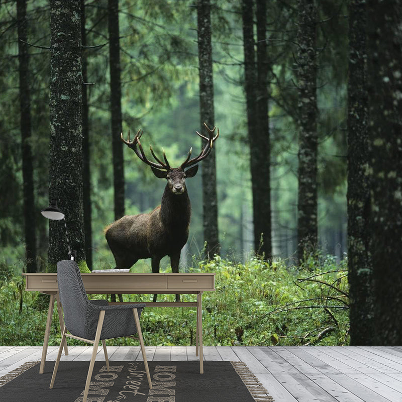 Large Size Contemporary Wall Murals Green Wild Deer in the Forest Patterned Wall Art Clearhalo 'Wall Decor' 'Wall Mural' 1154291