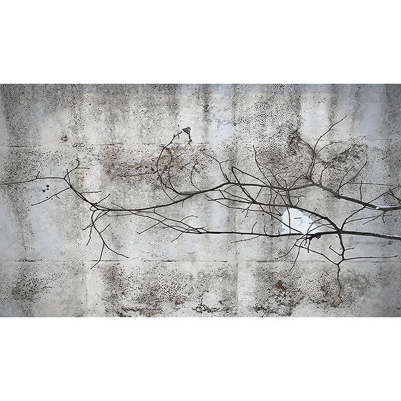 Illustration Dry Twig Wall Mural Wallpaper for Living Room, Grey, Personalised Size Clearhalo 'Wall Decor' 'Wall Mural' 1170920