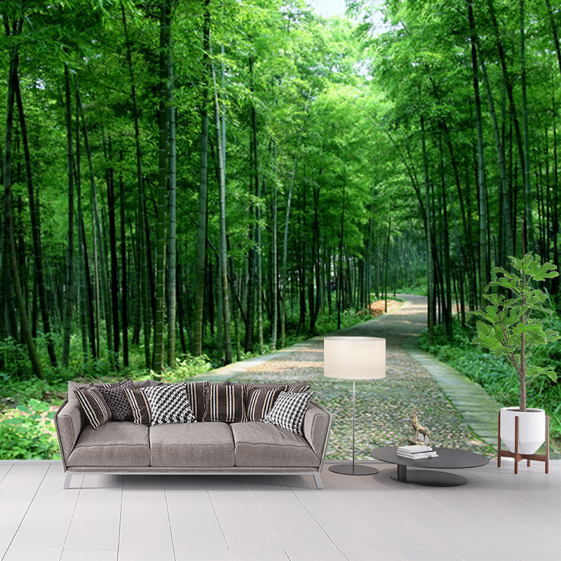 Path to Bamboo Forest Mural Green Modern Style Wall Covering for Home, Personalized Size Green Clearhalo 'Wall Decor' 'Wall Mural' 1171492