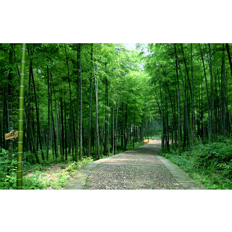 Path to Bamboo Forest Mural Green Modern Style Wall Covering for Home, Personalized Size Clearhalo 'Wall Decor' 'Wall Mural' 1171495