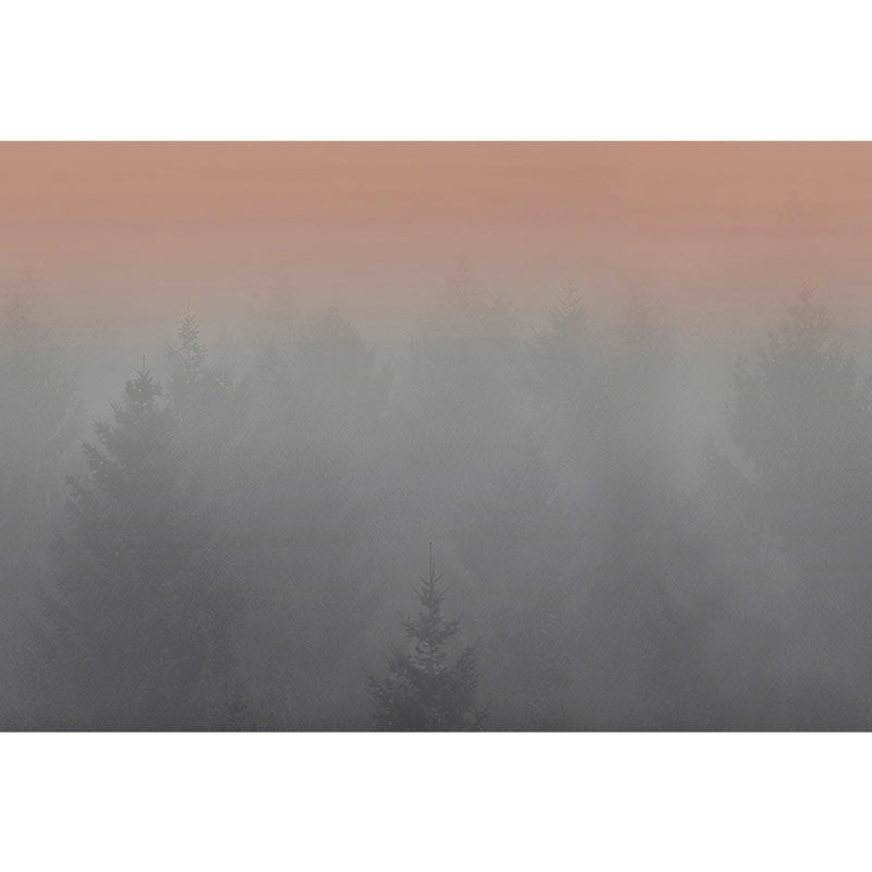 Misty Forest Morning Murals Grey and Orange Contemporary Wall Art for Home Decor Clearhalo 'Wall Decor' 'Wall Mural' 1180877