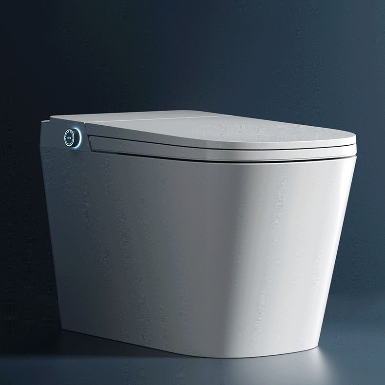 Modern Skirted Toilet Bowl Siphon Jet Toilet with Soft-Close Seat for Bathroom Clearhalo 'Bathroom Remodel & Bathroom Fixtures' 'Home Improvement' 'home_improvement' 'home_improvement_toilets' 'Toilets & Bidets' 'Toilets' 1200x1200_822a5ea3-1207-4651-b61d-58cee3d0f6d6