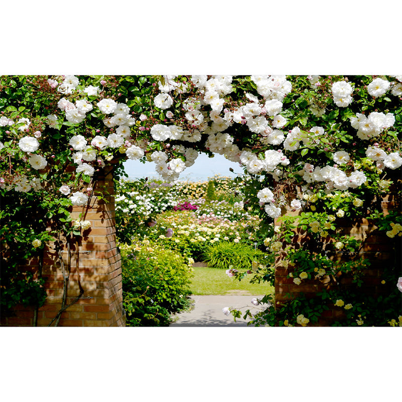 Photography Flower Archway Mural Decal for Living Room, Green and White, Custom Print Clearhalo 'Wall Decor' 'Wall Mural' 1211538