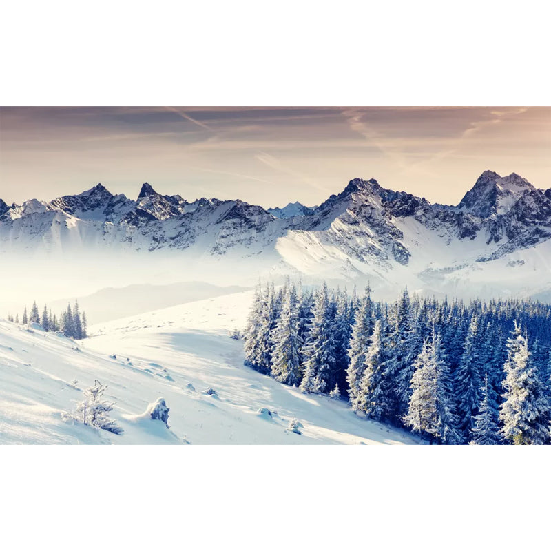 Grey-White Modern Wall Murals Full Size Snowy Pine Trees and Mountain Wall Art for Home Clearhalo 'Wall Decor' 'Wall Mural' 1394768