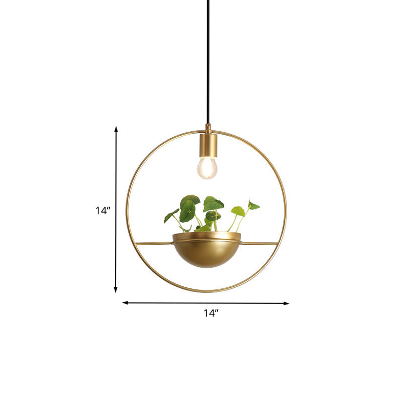 Gold Circular Hanging Light Fixture Factory Iron 1-Head Dining Room Plant Pendant Lighting Clearhalo 'Art Deco Pendants' 'Cast Iron' 'Ceiling Lights' 'Ceramic' 'Crystal' 'Industrial Pendants' 'Industrial' 'Metal' 'Middle Century Pendants' 'Pendant Lights' 'Pendants' 'Tiffany' Lighting' 1458152