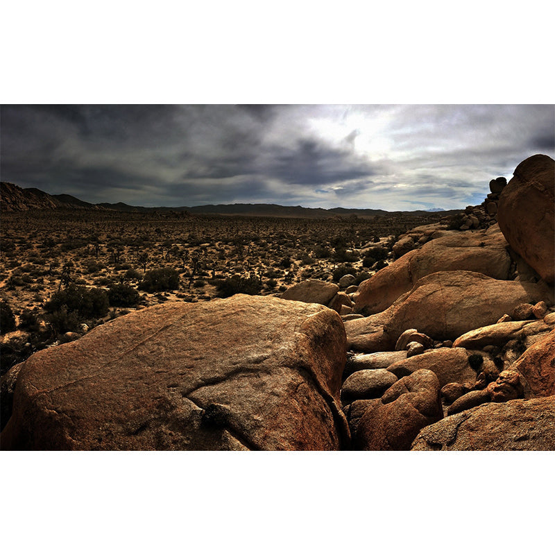 Desert Plants with Stone Mural Brown Modern Style Wall Covering for Accent Wall, Size Optional Clearhalo 'Wall Decor' 'Wall Mural' 1501922