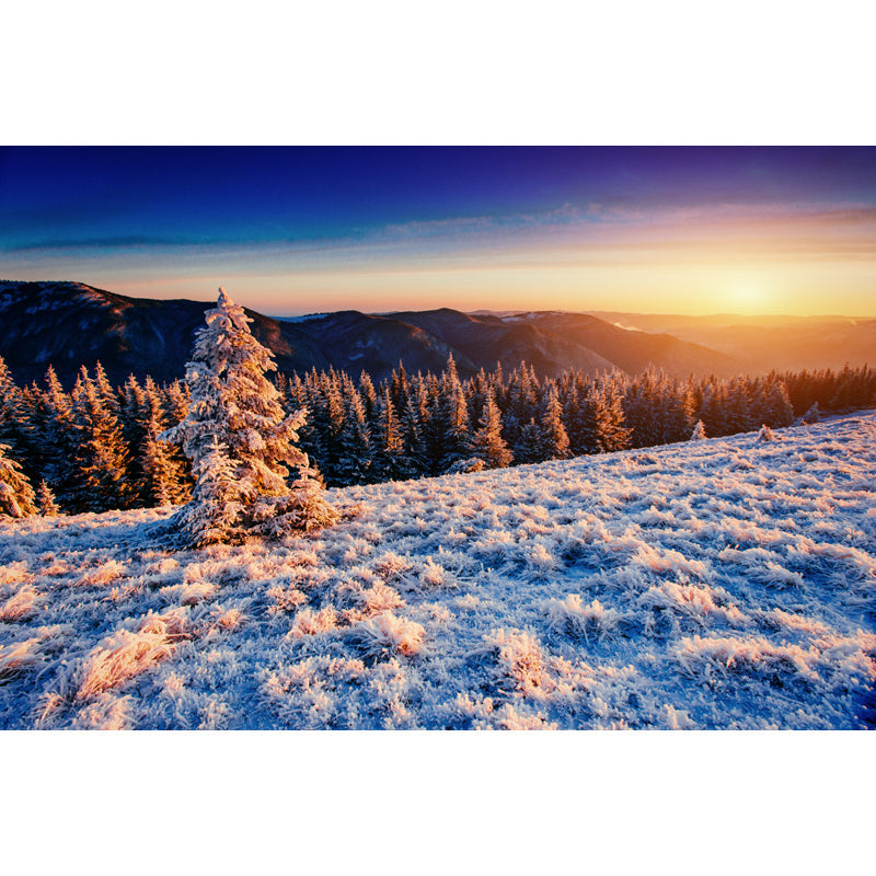 Orange Sunset View Mural Aerial View of Winter Forest Modern Washable Wall Decor Clearhalo 'Wall Decor' 'Wall Mural' 1502262