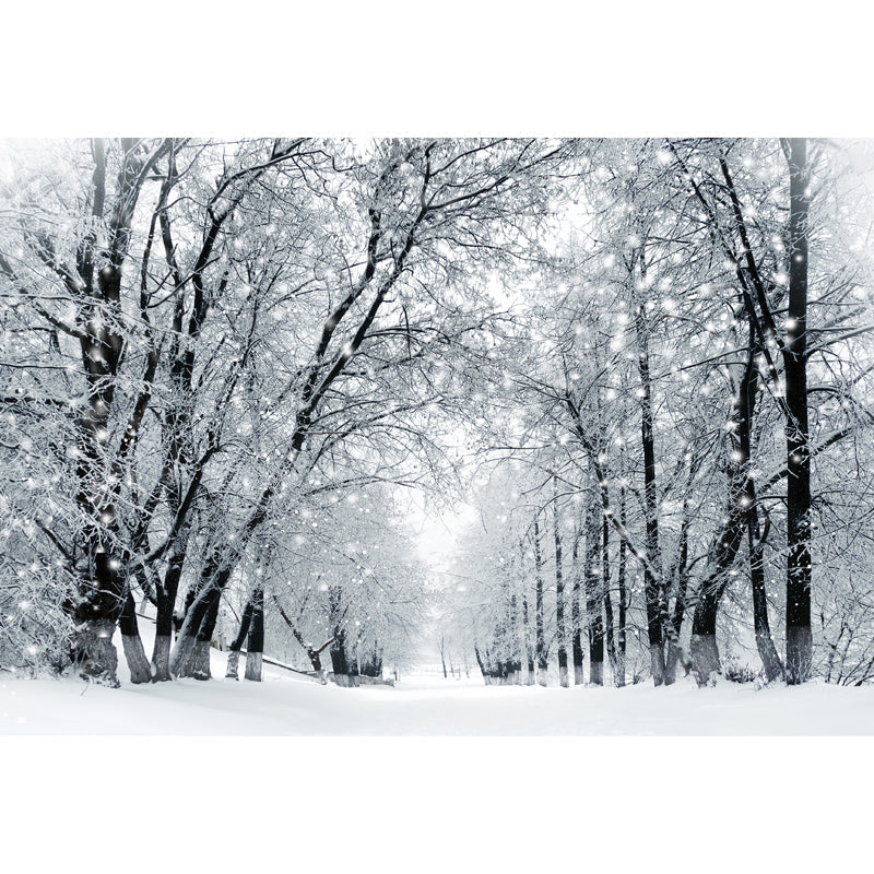 Whole Snowy Empty Street Mural in White Non-Woven Wall Art, Waterproof, Custom Size Clearhalo 'Wall Decor' 'Wall Mural' 1502287