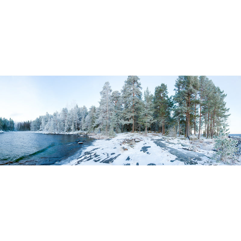 Whole Early Snow Wallpaper Mural Modern River and Forest Scene Wall Decor in Green Clearhalo 'Wall Decor' 'Wall Mural' 1502352