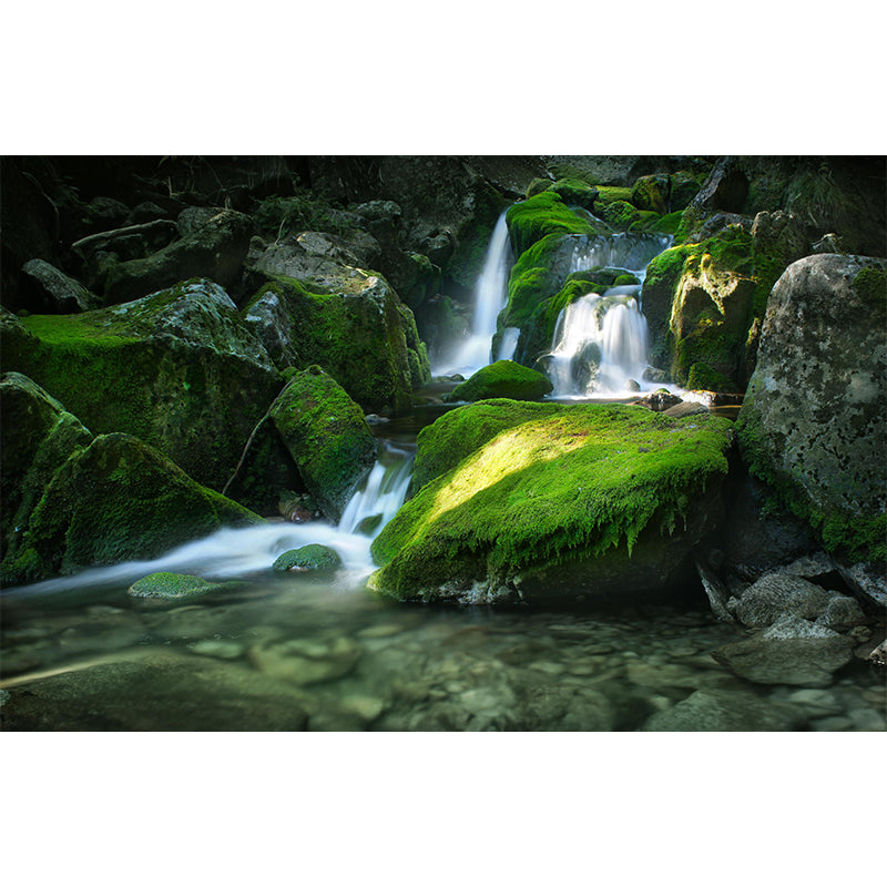 Waterfall with Moss Stone Mural Decal Green Modernism Wall Covering for Home Gallery Clearhalo 'Wall Decor' 'Wall Mural' 1505226