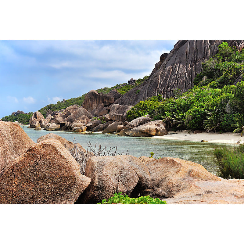 Full-Size Tropical Mural Brown Part of Seashore at the Foot of Mountain Wall Covering, Made to Measure Clearhalo 'Wall Decor' 'Wall Mural' 1505271