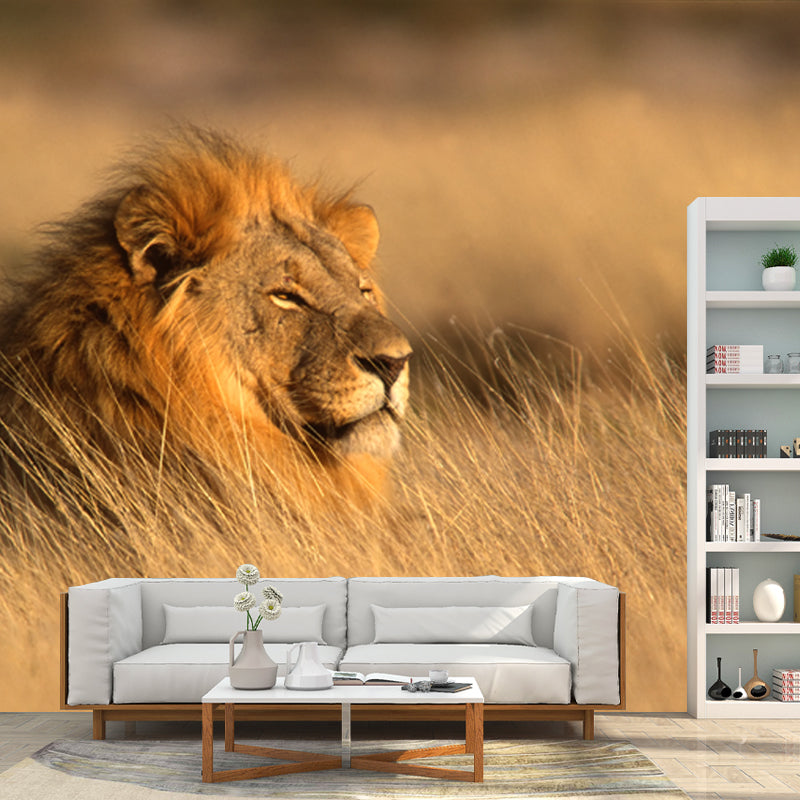 Lion Lying in Grass Mural Contemporary Non-Woven Material Wall Art in Brown for Room Clearhalo 'Wall Decor' 'Wall Mural' 1508282