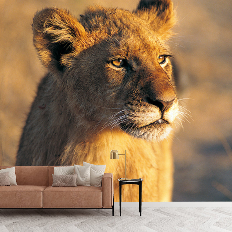 Modern Young Lion Sunset Mural Brown Moisture Resistant Wall Covering for Accent Wall Brown Clearhalo 'Wall Decor' 'Wall Mural' 1508455