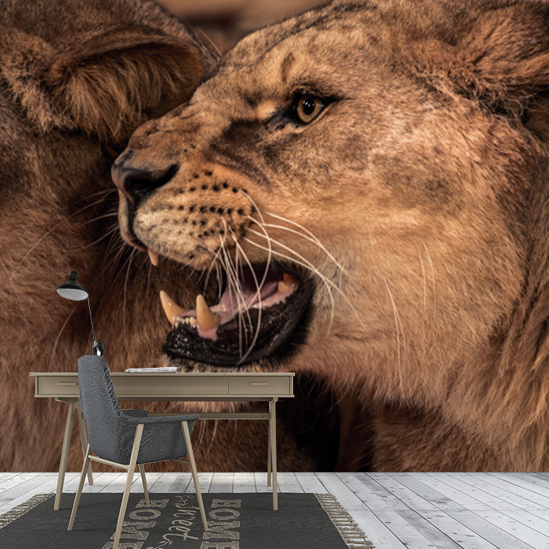 Couple of Lions Roaring Mural Modernist Water-Proof Living Room Wall Decor, Custom Made Brown Clearhalo 'Wall Decor' 'Wall Mural' 1508465