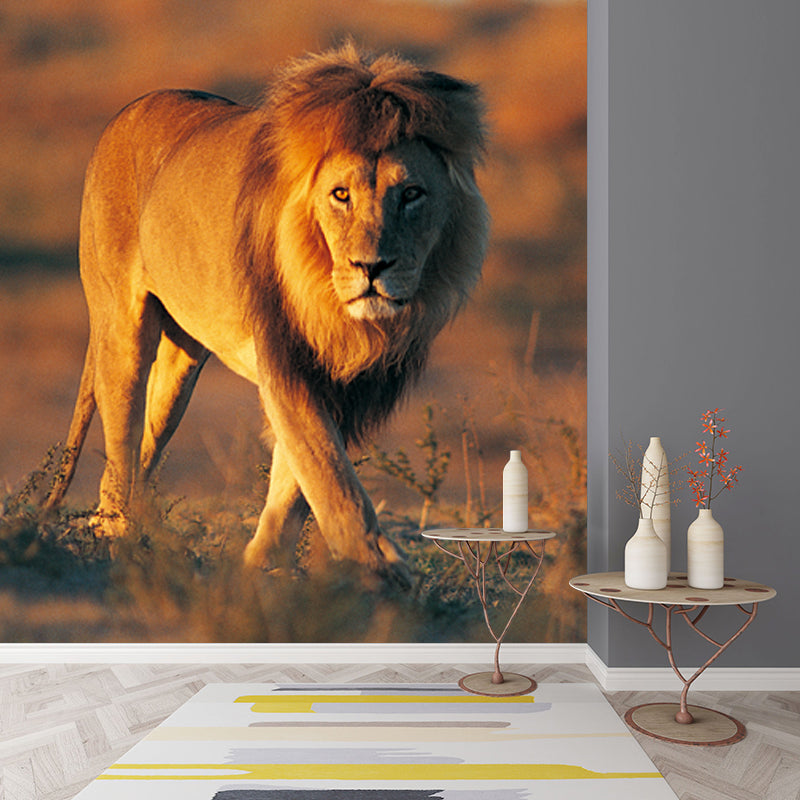 Smooth Whole Brown Mural Modern Lion Walk in the Sunset Wall Covering, Custom Print Clearhalo 'Wall Decor' 'Wall Mural' 1508472