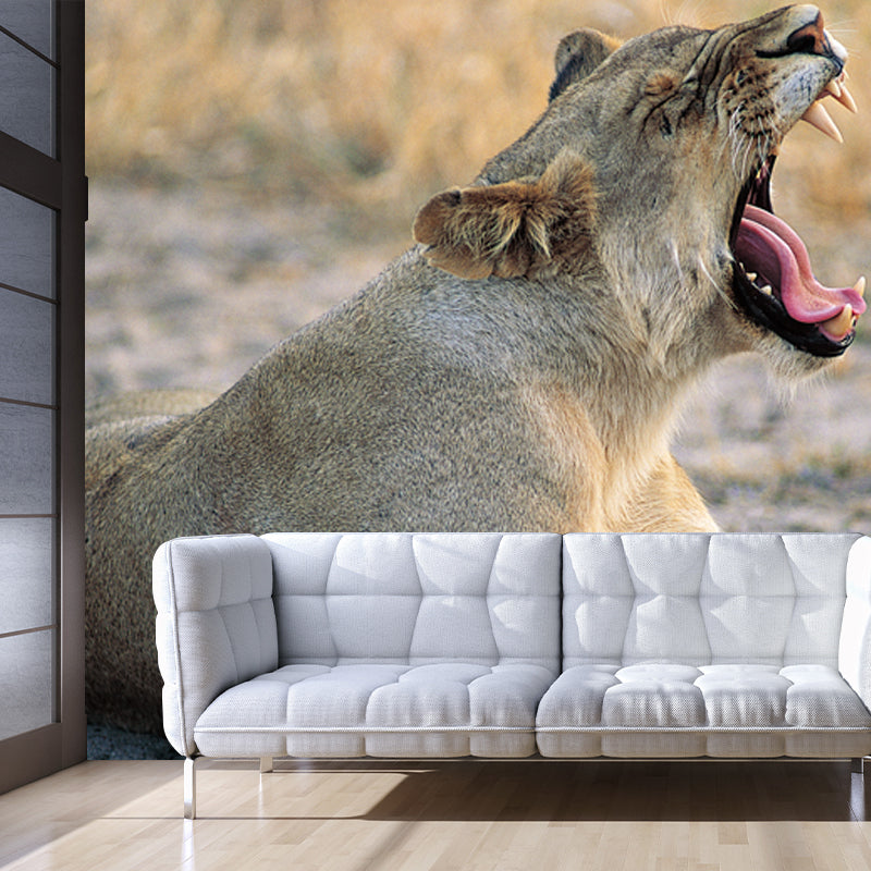 Brown Wild Animal Wallpaper Mural Lion Giving A Big Yawn Modern Washable Wall Decor Clearhalo 'Wall Decor' 'Wall Mural' 1508521