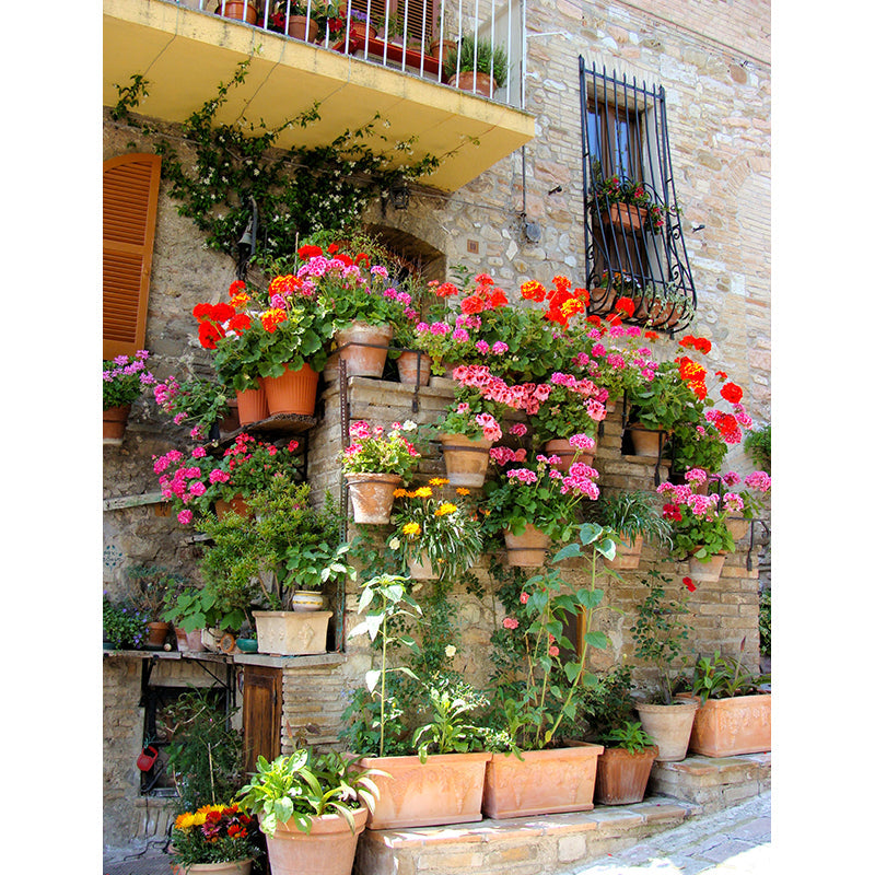 Contemporary Girls Mural Wallpaper Old Balcony and Colored Flowers Red Wall Covering Clearhalo 'Wall Decor' 'Wall Mural' 1617416