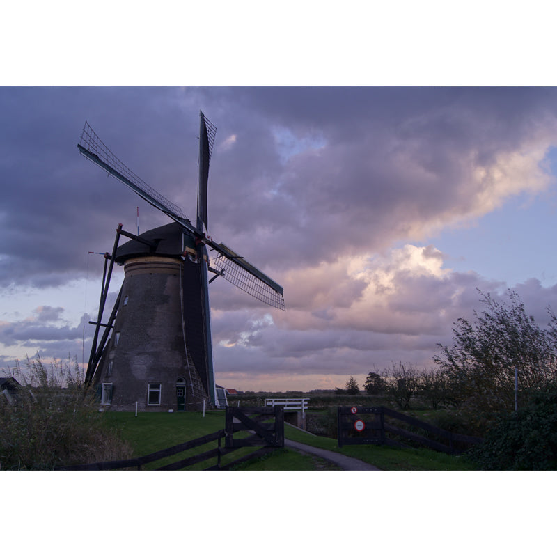 Huge Windmill and Sky Mural for Bedroom Nature Scene Wall Art in Pastel Color, Stain Resistant Clearhalo 'Wall Decor' 'Wall Mural' 1627926