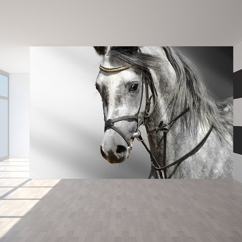 Horse Mural Decal Modern Decorative Boys Room Wall Covering, Custom Size Available Clearhalo 'Wall Decor' 'Wall Mural' 1637730