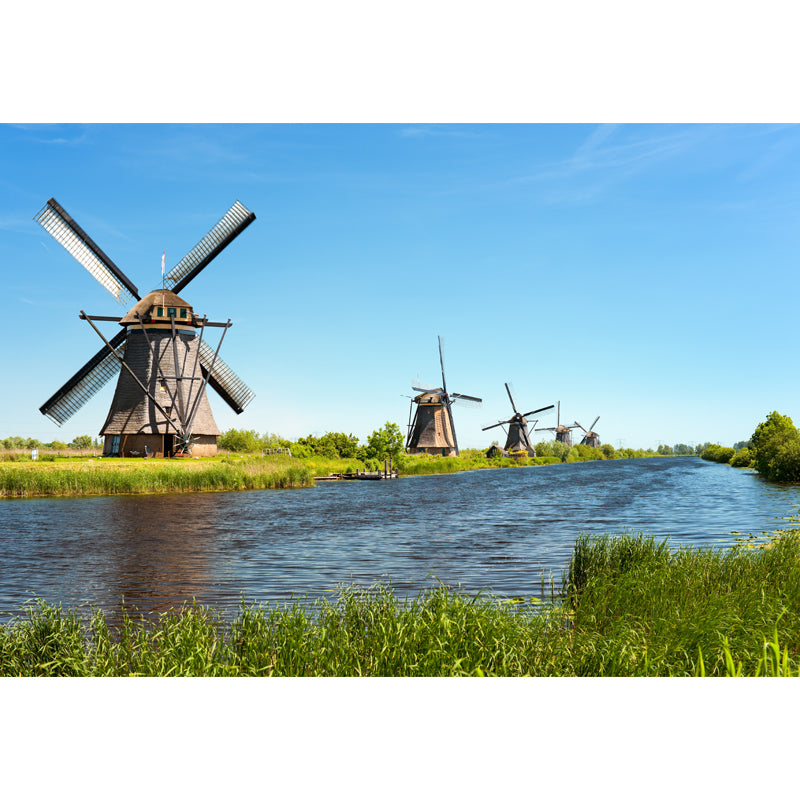 Full Size Photography Modern Mural Wallpaper with Windmill and Grassland in Green Clearhalo 'Wall Decor' 'Wall Mural' 1646218