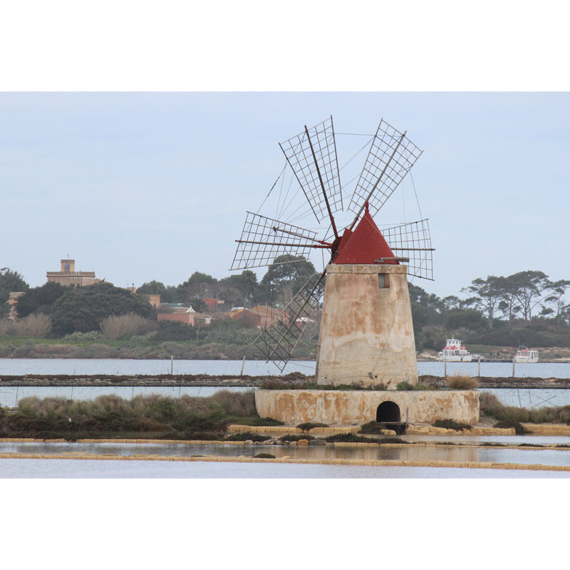 Extra Large Windmill Mural Brown Non-Woven Wall Art for Home Decor, Personalised Clearhalo 'Wall Decor' 'Wall Mural' 1646428