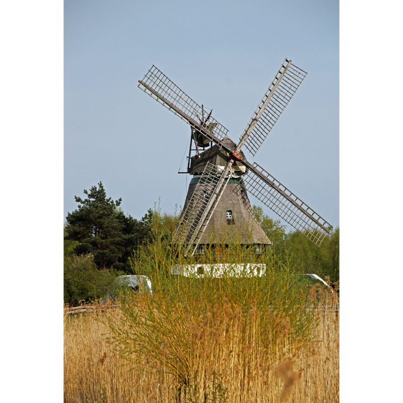 Huge Autumn Windmill Mural for Bedroom Landscape Wall Art in Soft Color, Stain Resistant Clearhalo 'Wall Decor' 'Wall Mural' 1647312