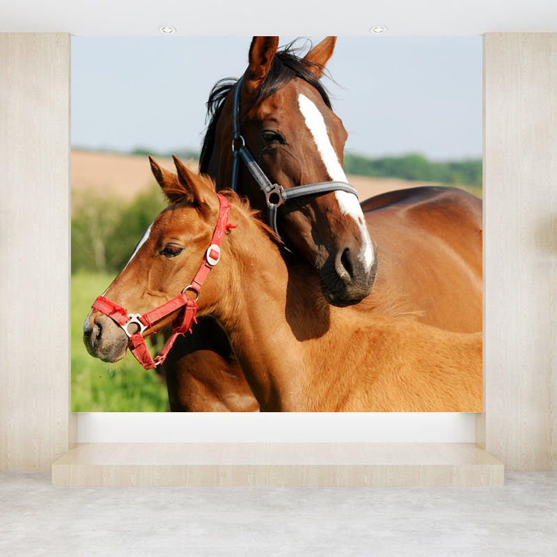 Large Tall Horse Mural Decal Contemporary Tameable Animals Wall Covering in Brown Clearhalo 'Wall Decor' 'Wall Mural' 1647445