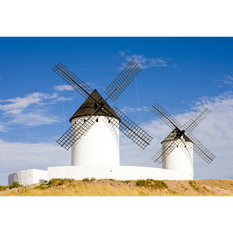 Delectable Windmill Mural Wallpaper for Dining Room Spring Wall Decor, Customised Clearhalo 'Wall Decor' 'Wall Mural' 1647926