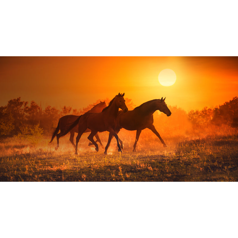 Running Horse and Sunset Mural Decal for Boys Bedroom Animals Wall Decor, Custom Clearhalo 'Wall Decor' 'Wall Mural' 1648176