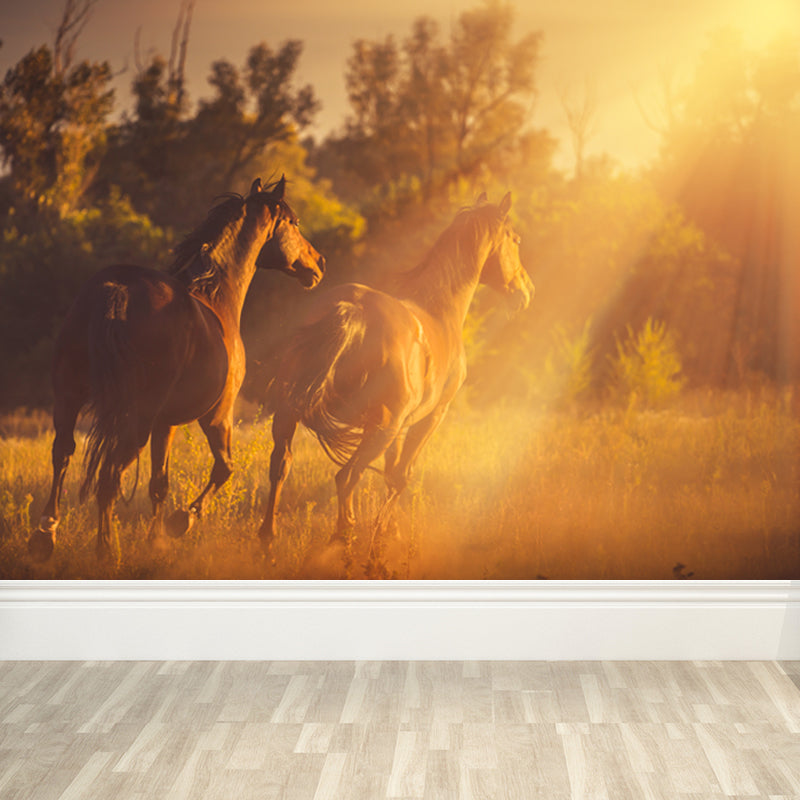 Running Horse and Sunset Mural Decal for Boys Bedroom Animals Wall Decor, Custom Clearhalo 'Wall Decor' 'Wall Mural' 1648180