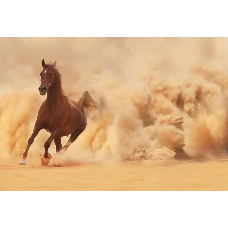 Photography Running Horse Wall Mural for Dining Room, Brown, Custom Size Available Clearhalo 'Wall Decor' 'Wall Mural' 1648261