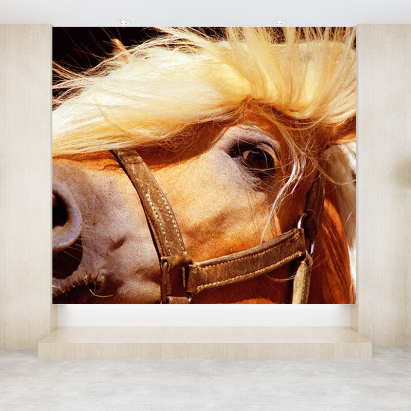 Big Horse Wall Paper Mural Stain Resistant Modern Family Room Wall Art, Custom Print Clearhalo 'Wall Decor' 'Wall Mural' 1757559