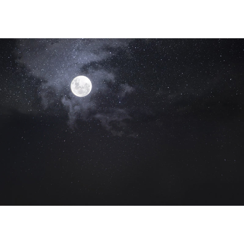 Moon and Starry Sky Mural Wallpaper in White on Black Contemporary Wall Art for Home Clearhalo 'Wall Decor' 'Wall Mural' 1783842