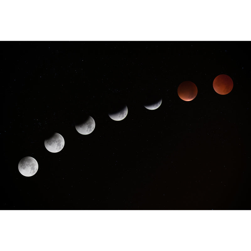 Whole Astronomy Wall Covering Mural Modern Complete Lunar Eclipse Wall Art in Black Clearhalo 'Wall Decor' 'Wall Mural' 1783847