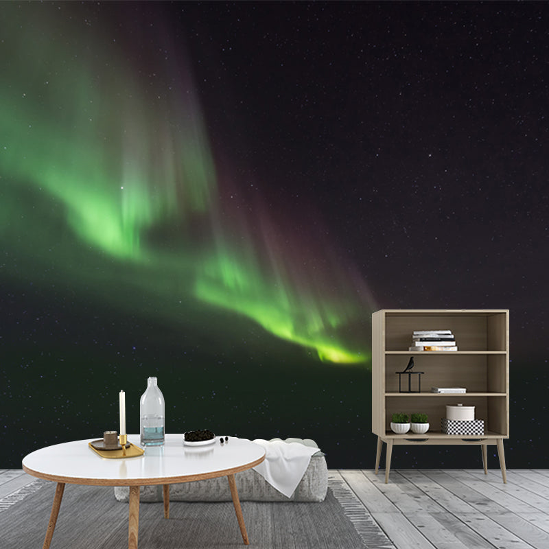 Polar Light Print Wall Mural Contemporary Non-Woven Wall Decor in Green on Black Clearhalo 'Wall Decor' 'Wall Mural' 1784415