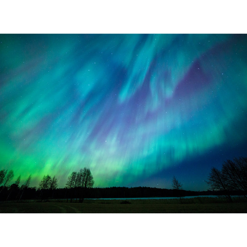 Photography Aurora Wall Covering Mural for Living Room, Blue, Custom Size Available Clearhalo 'Wall Decor' 'Wall Mural' 1784623