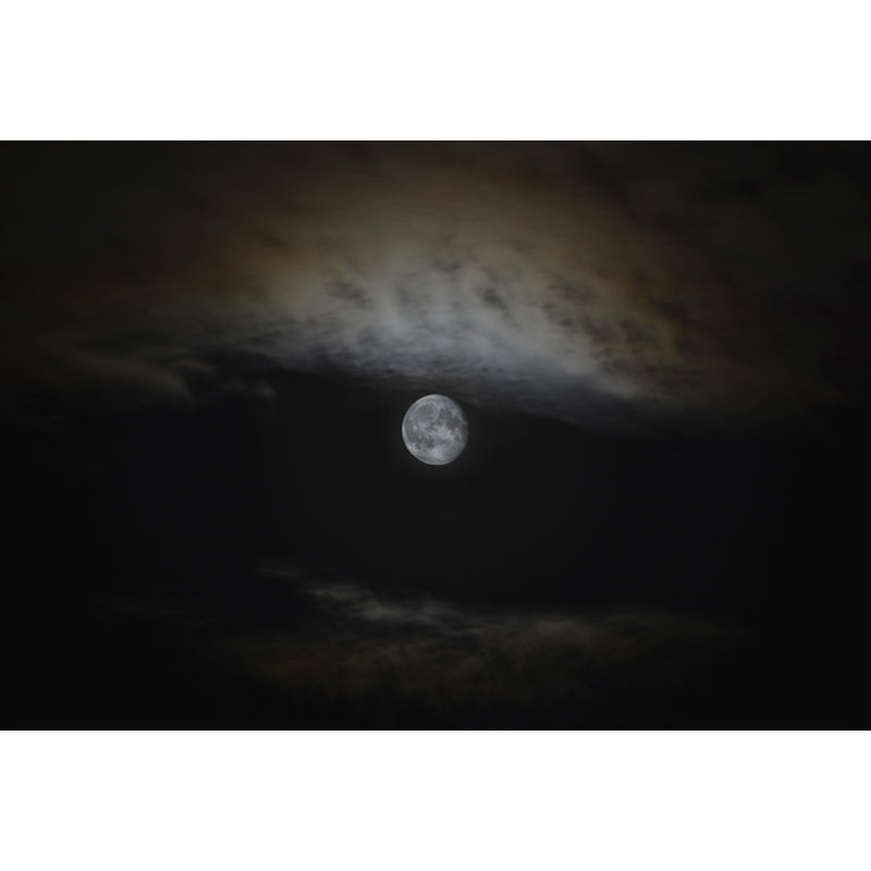 Full Moon on Sky Mural Black-Grey Modern Wall Covering for Accent Wall, Size Optional Clearhalo 'Wall Decor' 'Wall Mural' 1785050