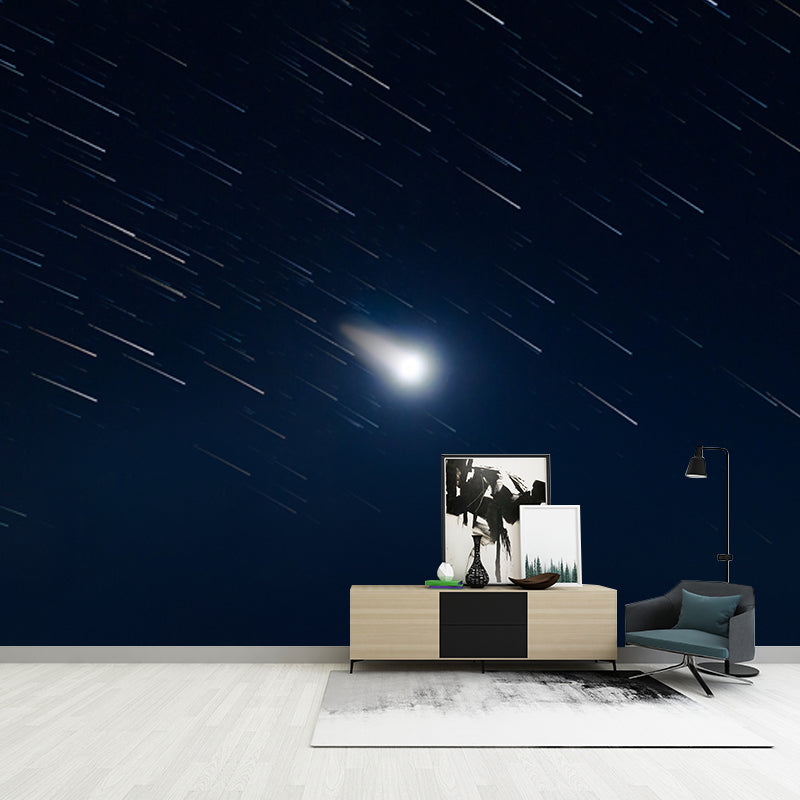 Dazzling Shooting Stars Mural Wallpaper for Bedroom, Black-White, Made to Measure Black-White Clearhalo 'Wall Decor' 'Wall Mural' 1785057