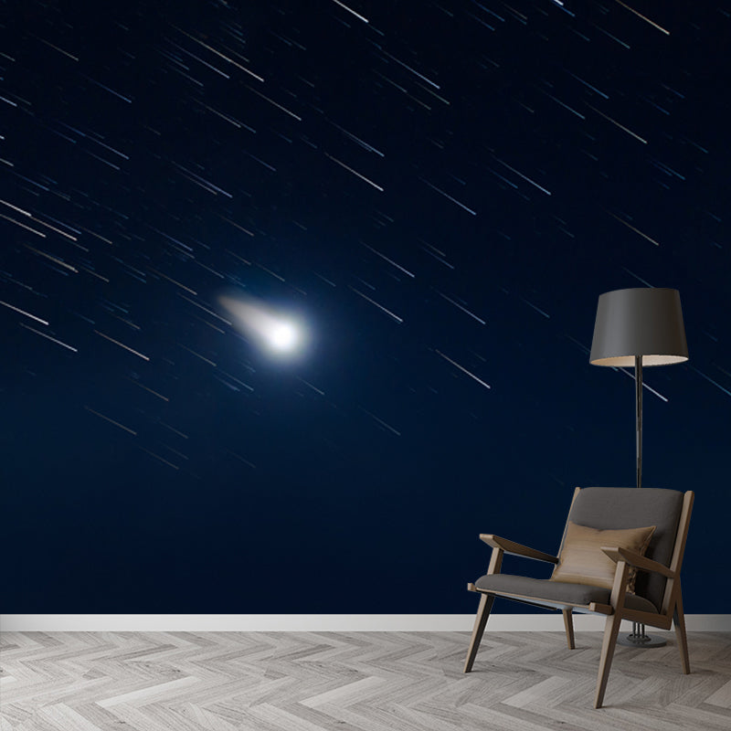 Dazzling Shooting Stars Mural Wallpaper for Bedroom, Black-White, Made to Measure Clearhalo 'Wall Decor' 'Wall Mural' 1785059