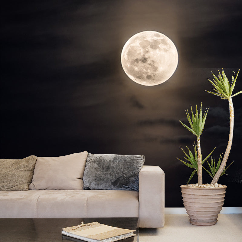 Modern Pastel Moonshine Mural for Bedroom Customized Wall Decor in Black and White Clearhalo 'Wall Decor' 'Wall Mural' 1785610